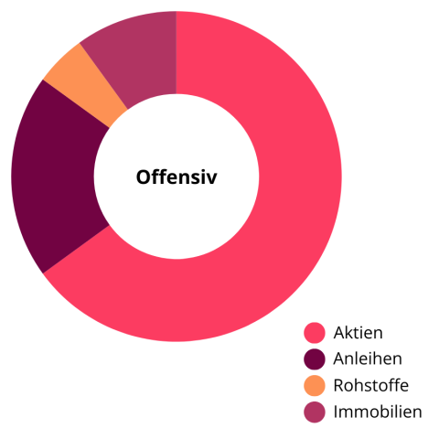 Musterallokation Offensiv vier Assetklassen