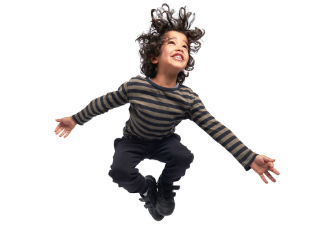 MF-Webstyleguide-dummy-image