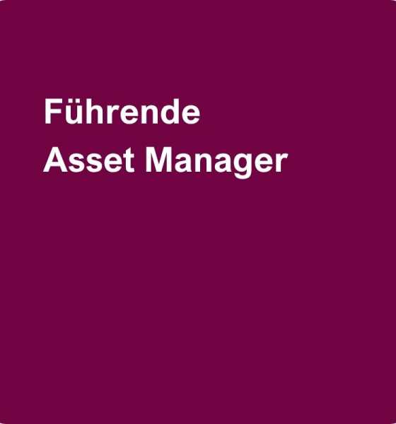 Führende Asset Manager