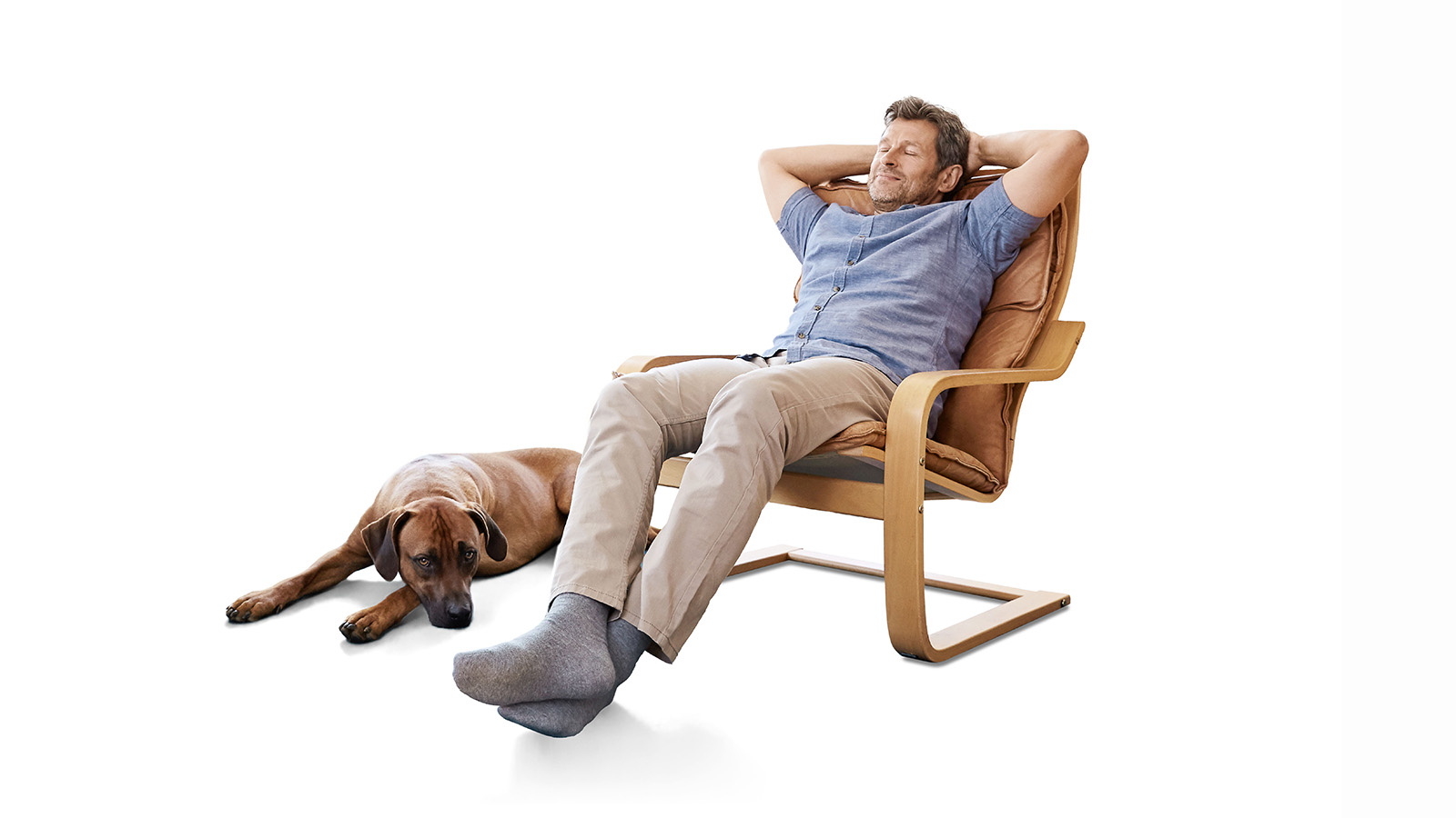 Mann im Sessel mit Hund